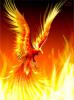 fialightning's picture